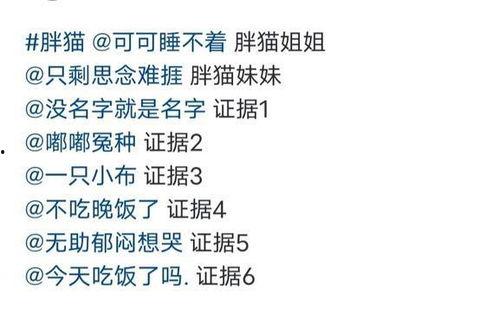 肥猫事件最新爆料,最新爆料揭露惊人内幕 第1张 肥猫事件最新爆料,最新爆料揭露惊人内幕 第1张